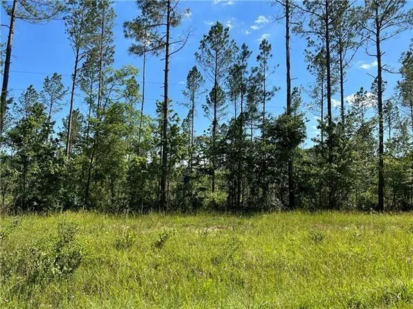 LOT 13 Walker Ferry Rd, Pollock, LA 71467