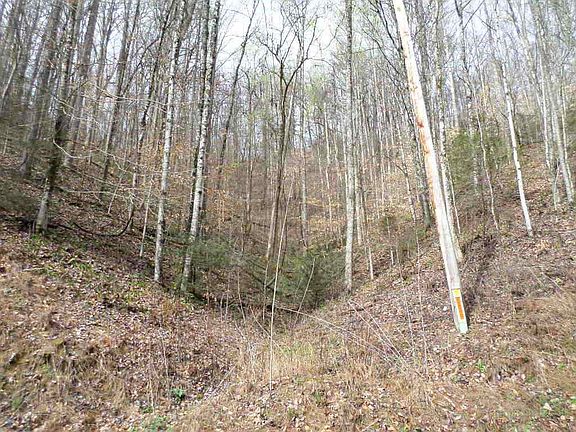5th image of Tracts 9 1 Boone Acres Ln