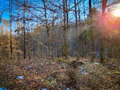 0 Beech Timber Rd, Beattyville, KY, 41311