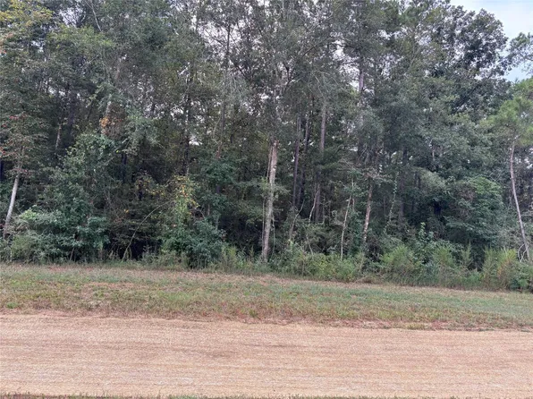 15223 Forest Grove Dr Lot 15, Willis, TX 77378