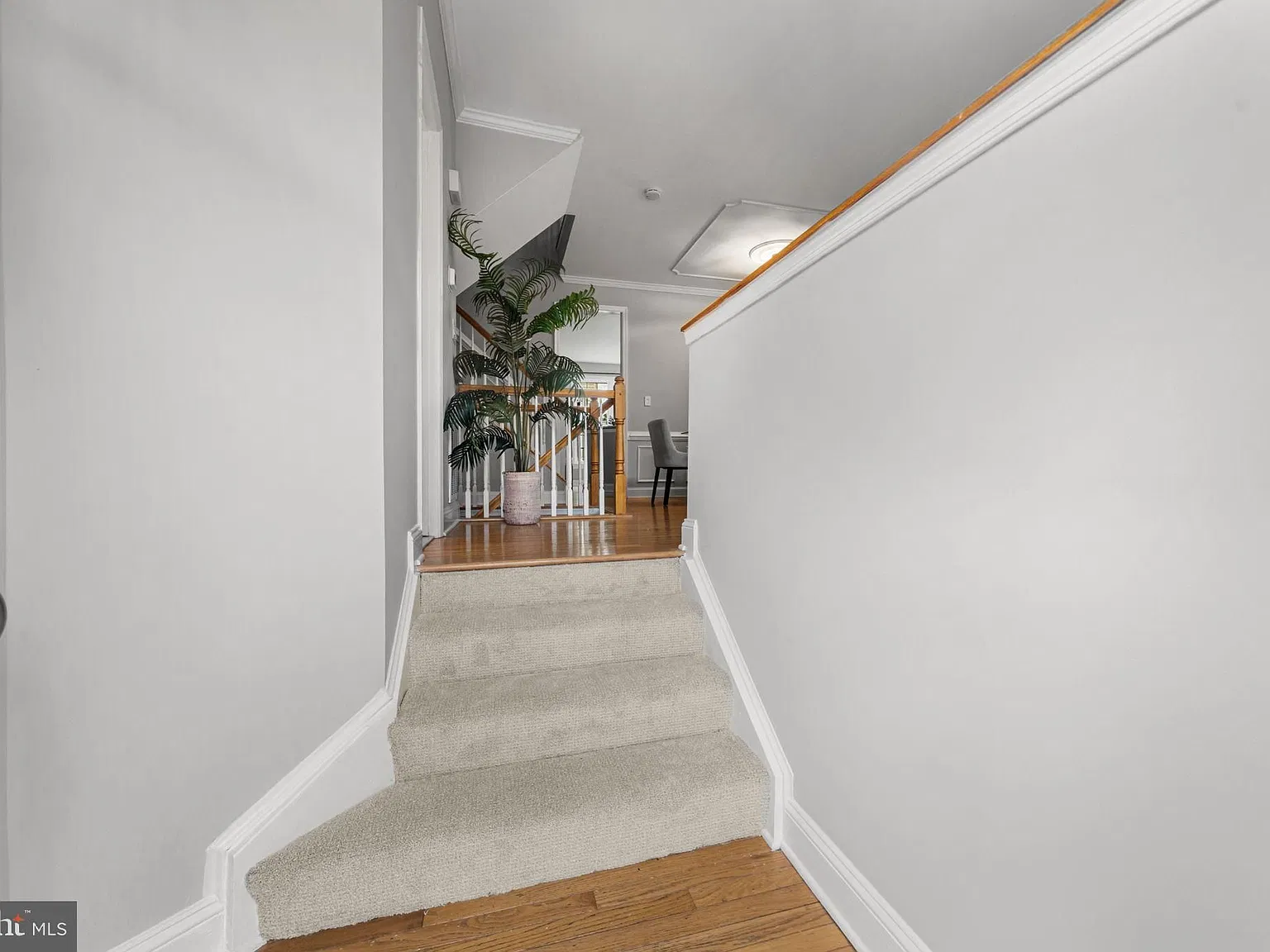 3 bed, 2.5 bath, 1940 sqft, $4,200 — Photo 4