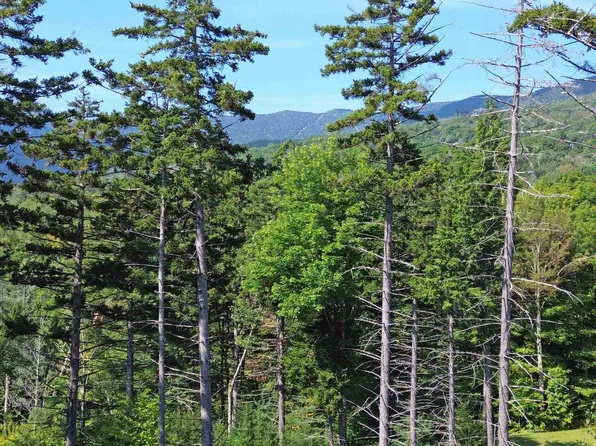 00 Knolls Road #4, Warren, VT 05674