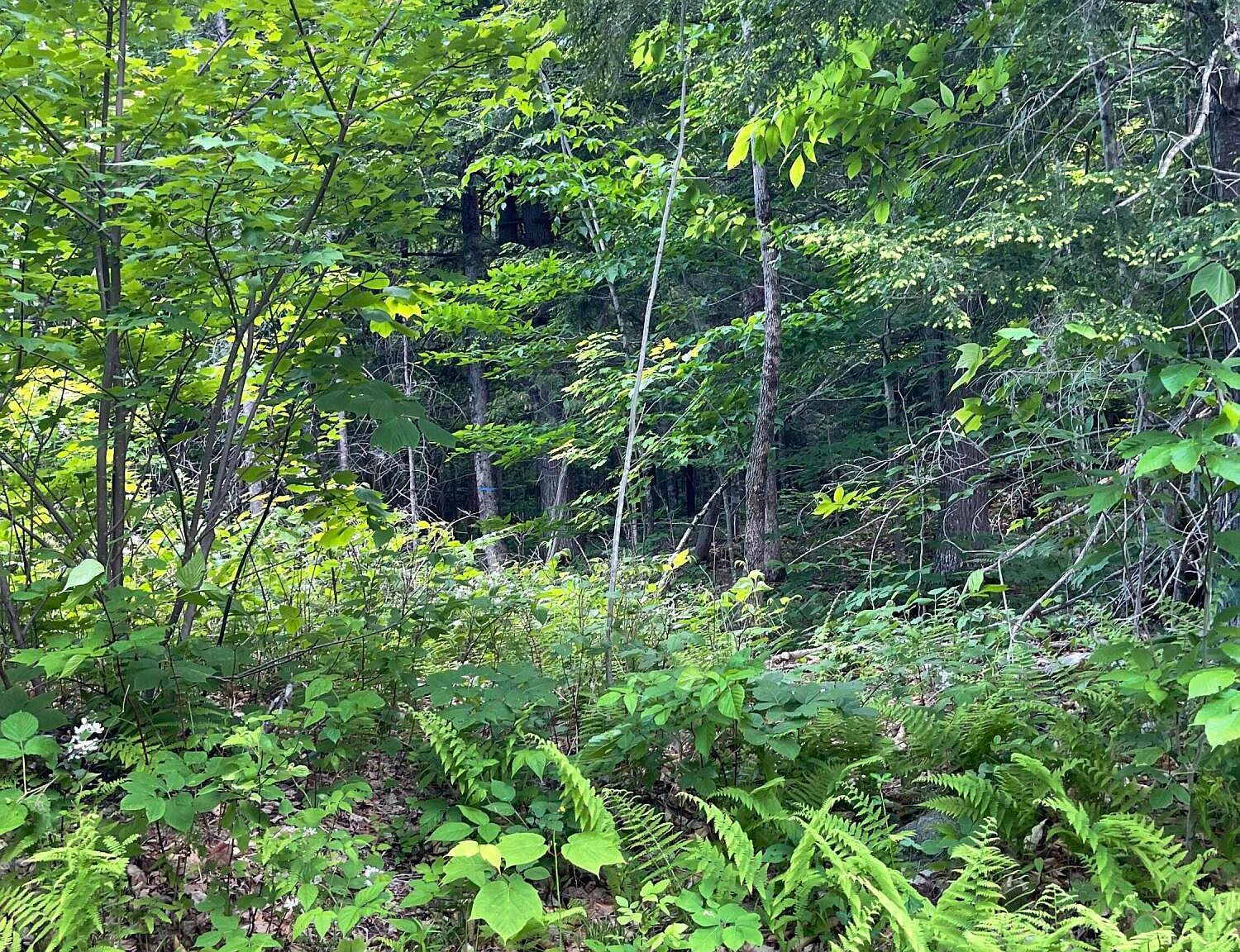 00 Laura's Way Lot 29, Anson, ME 04911 Zillow