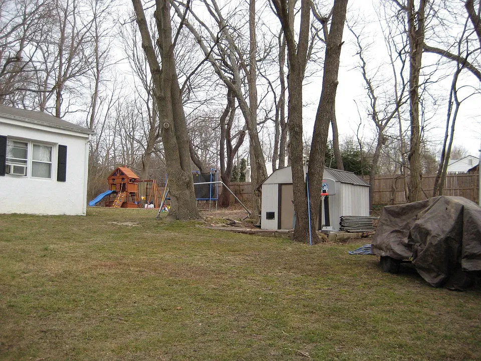 Back yard Right Side