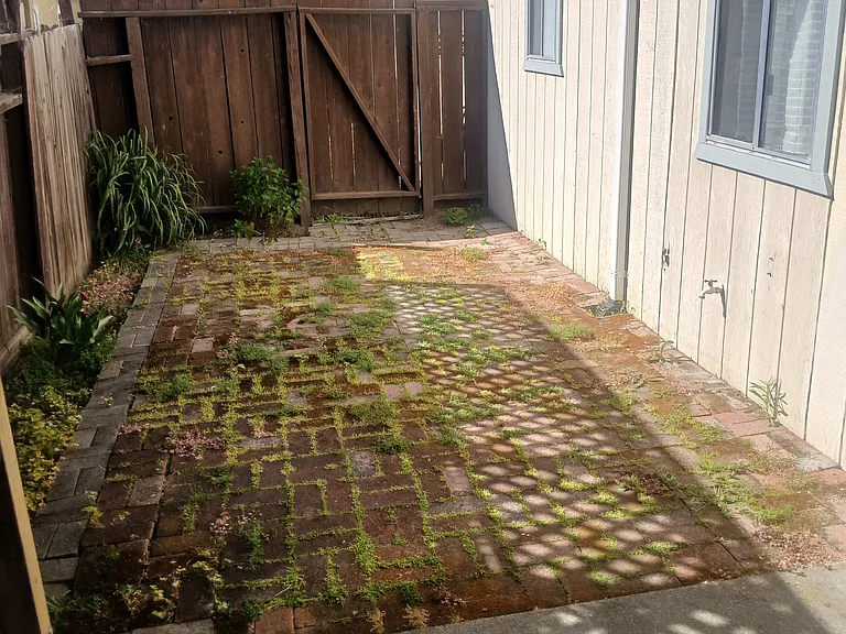 201 Blossom Way #B — Photo 7