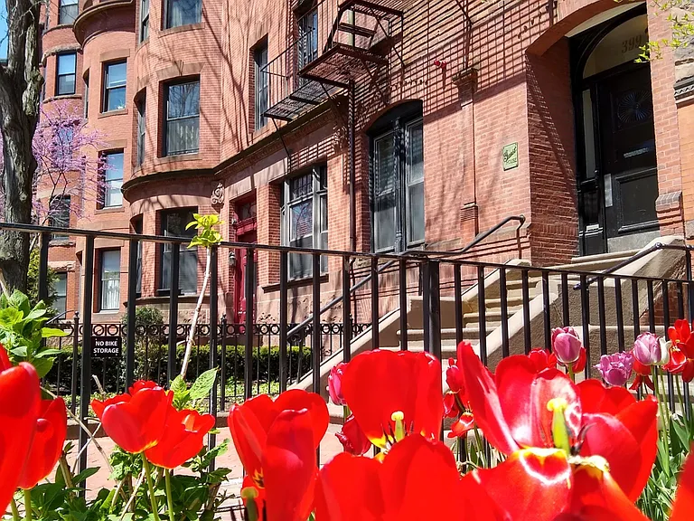 399 Marlborough St #8 — Photo 9