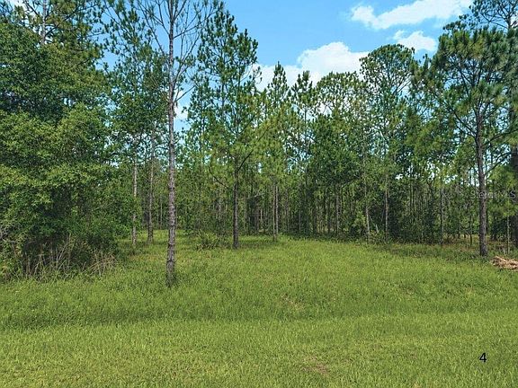 4th image of 3250 PLUMOSA DRIVE LOT 1