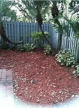 4th image of 1353 Springside Dr