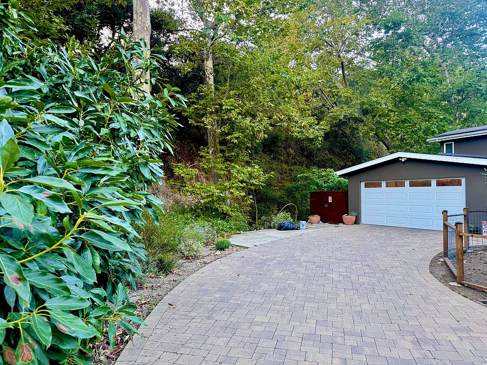 5 avocado trees are on the left as you enter the driveway.