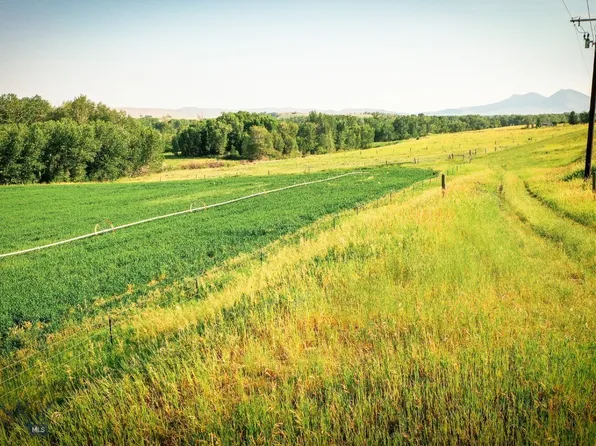 Nhn Shields River Rd, Wilsall, MT 59086