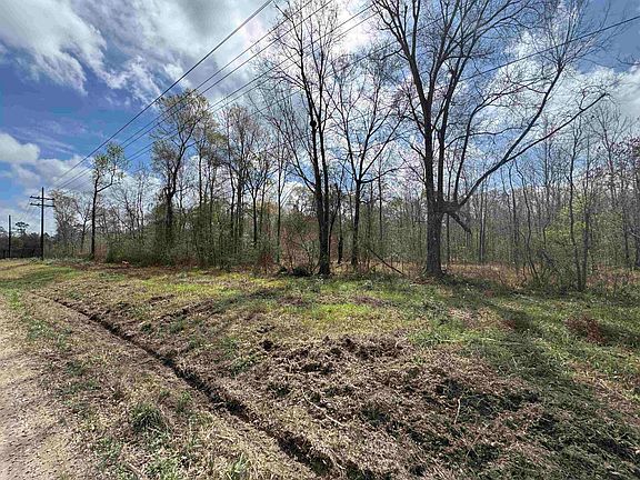 4th image of 885 County Road 883 Tract 1