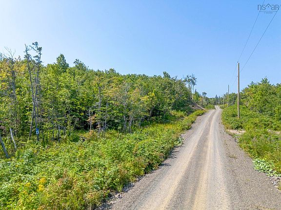 4th image of LOT 19 Pelton Mountain Rd