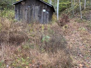 Spruce River Rd, Jeffrey, WV 25114