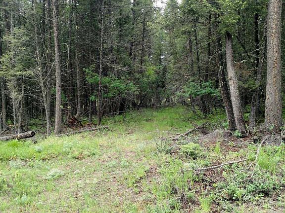 4th image of Nhn Sinclair Creek Road