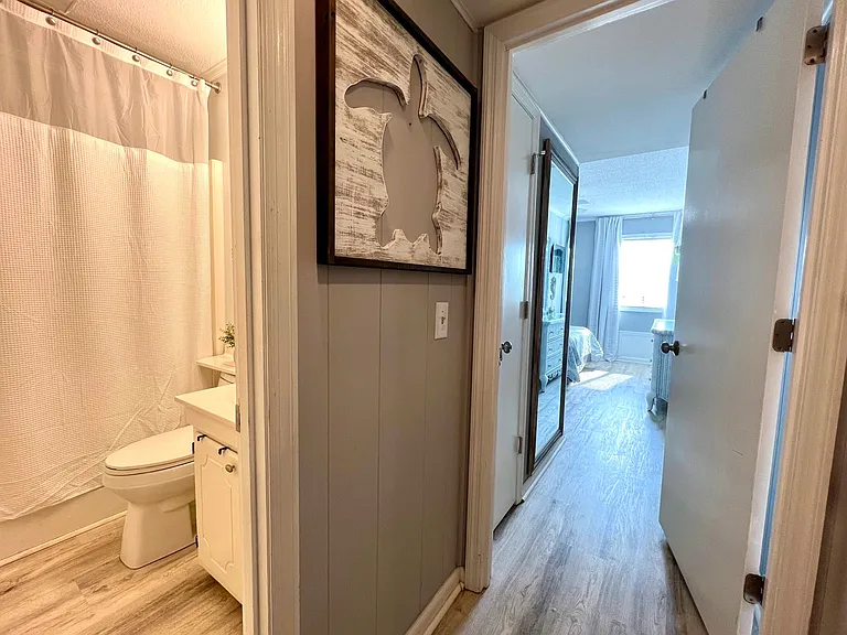 Hallway bathroom and view into main