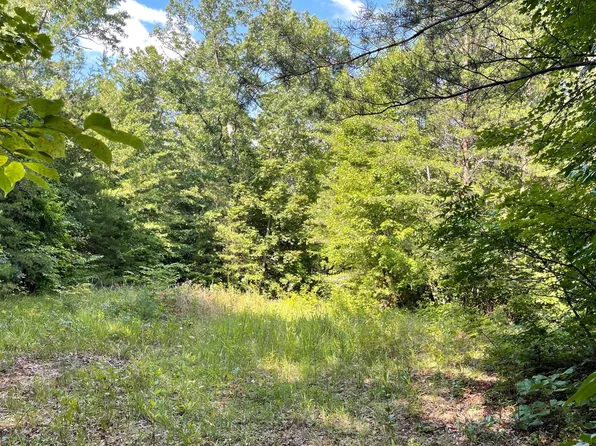 56AC Highway 68, Tellico Plains, TN 37385