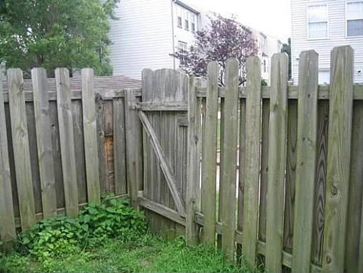 3 bed, 2.5 bath, 1200 sqft, $2,750 — Photo 4