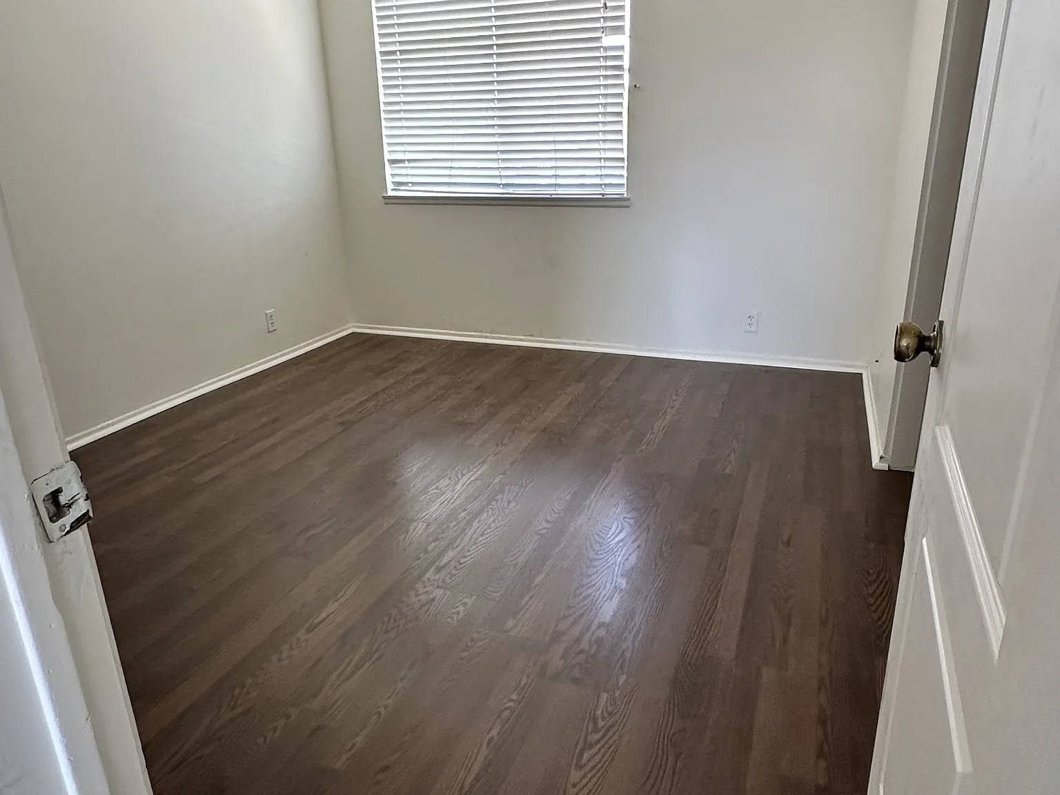 800 S Magnolia Avenue - 12 — Photo 4