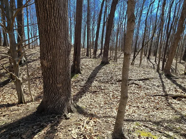 0 Spangler Rd, Dillsboro, IN 47018