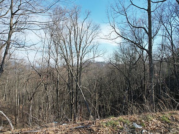 3rd image of LOT 2B Spurling Rd