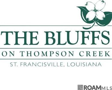 5919 Rosedown Pl, Saint Francisville, LA, 70775