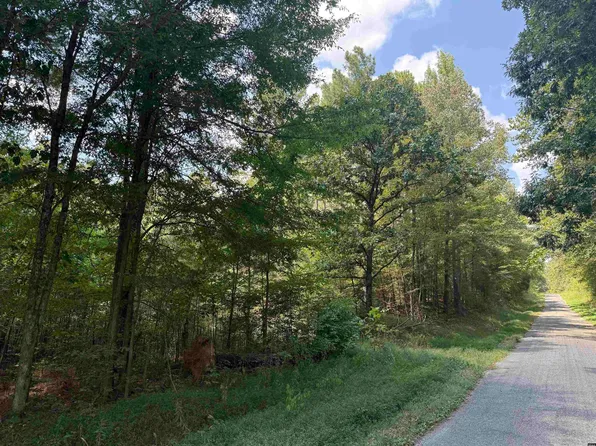 Fancy Rd, Dresden, TN 38225