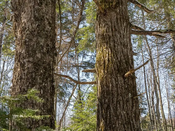 Pleasant Lake Rd, Hurley, WI 54534