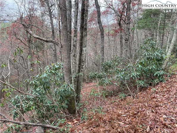 TBD Lot 19 Lost Trail, West Jefferson, NC 28694