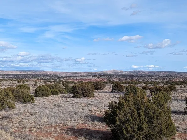 Lot 17 Mountain View Subdivision -- #17, St Johns, AZ 85936