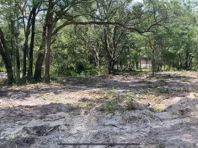 LOT 5 SE 82nd St LOT 5, Morriston, FL, 32668