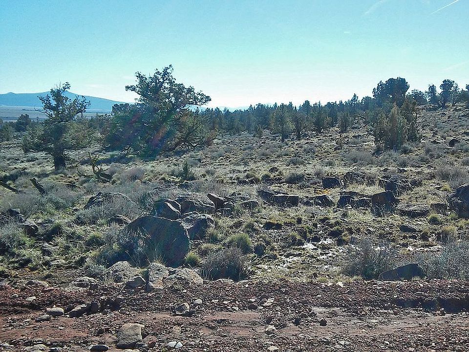 1st image of Lake Ridge Rd