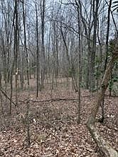 3rd image of 0 Center Rd Lot 1
