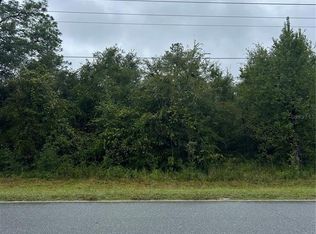 TBD NE 80TH AVENUE LOT 9, BRONSON, FL 32621