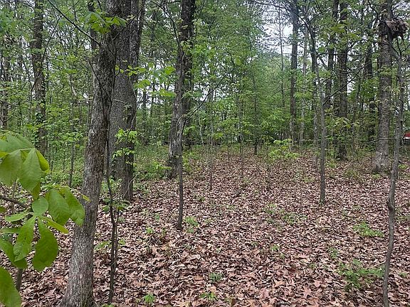 4th image of 8768/8750 Bobwhite Dr Lot 61 & 62