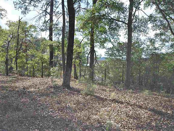 3rd image of 81 Evergreen Lane