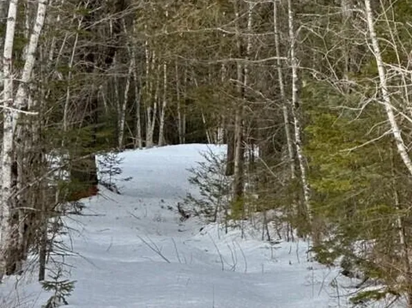 Lot 8 Willey District Road, Cherryfield, ME 04622