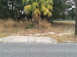 315 Palmetto St, Eustis, FL 32726