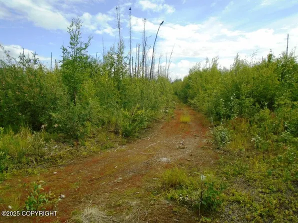 Mile 72, Willow, AK 99688