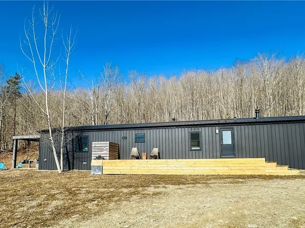 8147 Bailey Hill Rd, East Otto, NY 14729