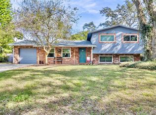 1009 Deerpath Ave, Brandon, FL 33510