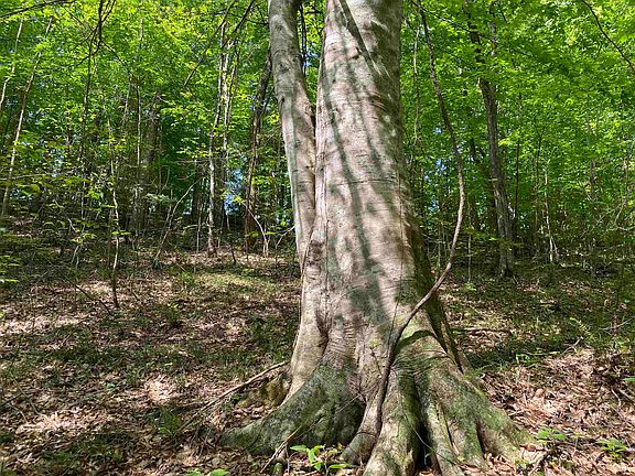 18th image of this home