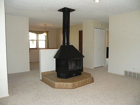 Wood burning stove