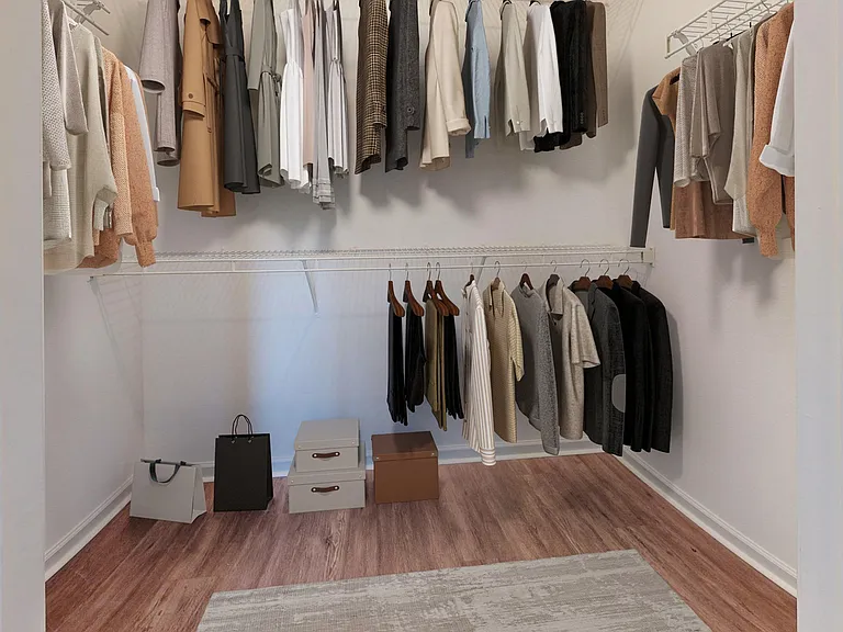 Walk-in Closet