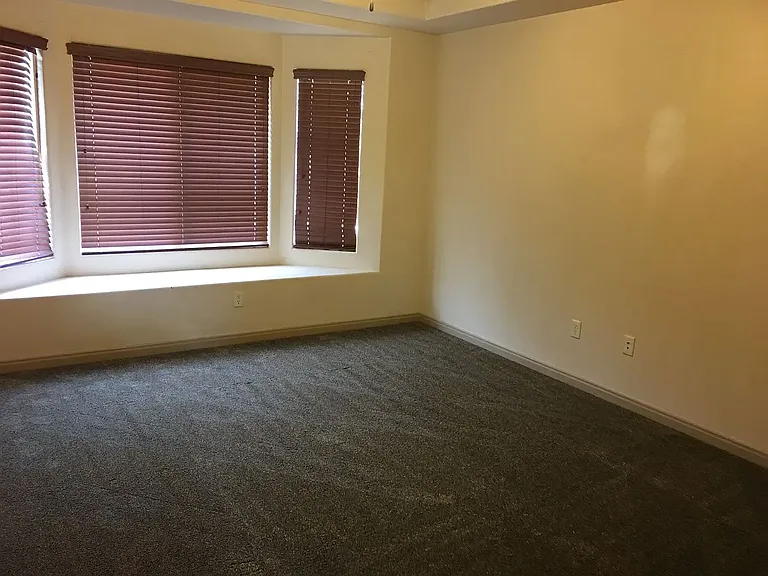 1045 E Birken St — Photo 5
