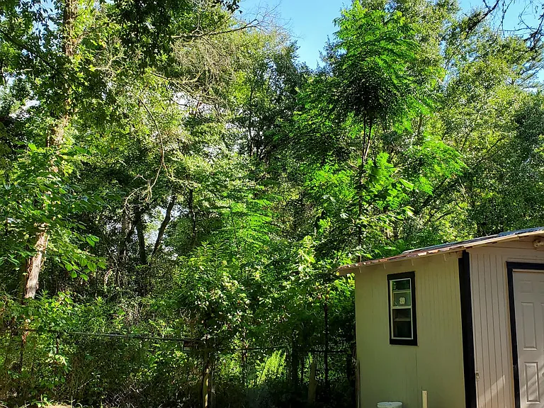 137B Summer Place Rd — Photo 8