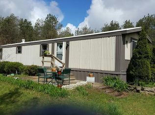 22100 One Mile Rd, Morley, MI 49336