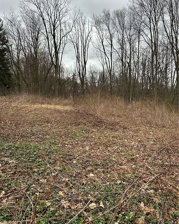 1st image of 1745 Maple Hill Dr