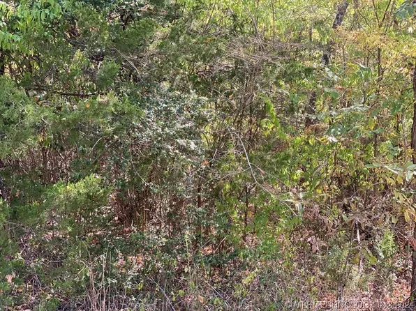 Lutie Rd, Wilburton, OK 74578