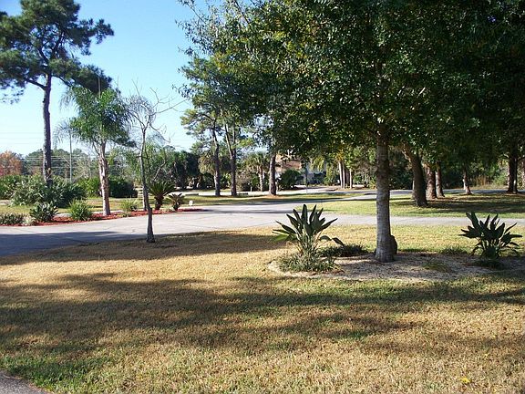 View Of Front Yard From Home