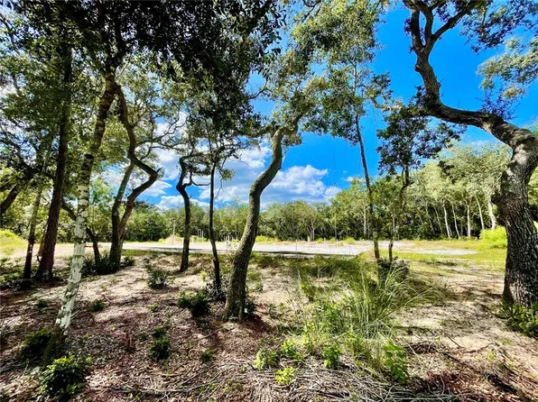 47125 EAST AVENUE LOT 56, PAISLEY, FL 32767